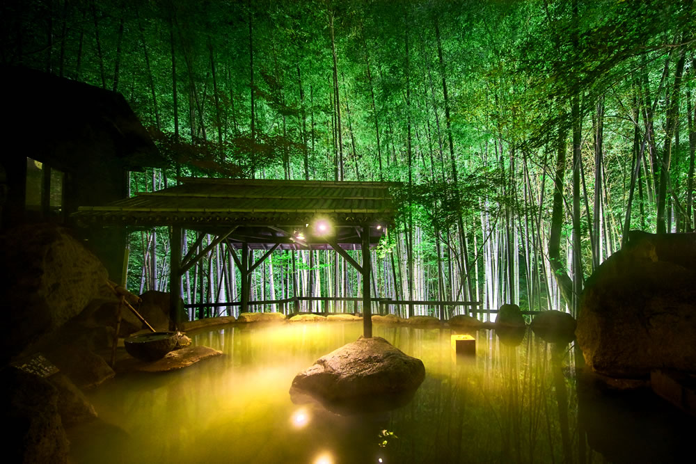 Bamboo Forest Suite